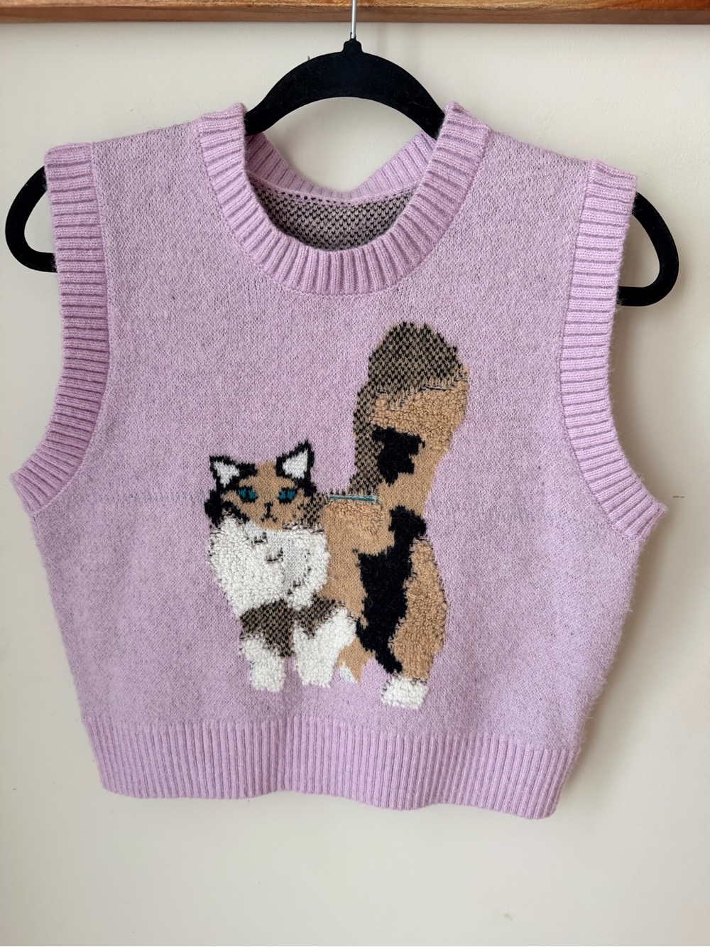 Cider Cat Graphic Sweater Vest Lavender Whimsical Cutesy Cat Sweater